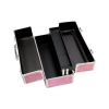 Lockable Large Sex Toy Chest Box Pink