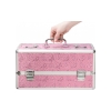 Lockable Large Sex Toy Chest Box Pink