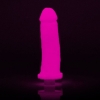 Clone-A-Willy Glow In The Dark Vibrator Moulding Kit Pink