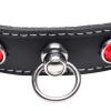 Master Series Bling Vixen Leather Adjustable Choker W/ Purple Rhinestones