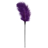 Fetish Collection Purple Feather Tickler