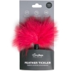 Fetish Collection Small Red Fluffy Feather Tickler