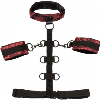 Scandal Collar Body Restraints Black & Red Reversible Restraint System