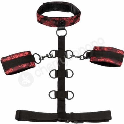 Scandal Collar Body Restraints Black & Red Reversible Restraint System